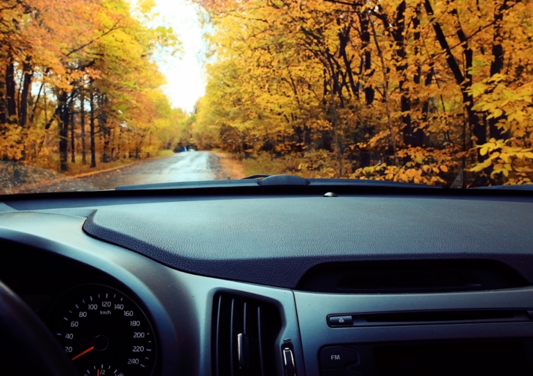 A view of the dashboard of a vehicle from inside, looking out at yellow and red fall foliage on the trees